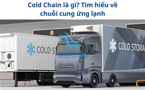 Cold Chain là gì? Tìm hiểu về chuỗi cung ứng lạnh