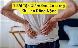 7 Bài Tập Giảm Đau Cơ Lưng Khi Lao Động Nặng