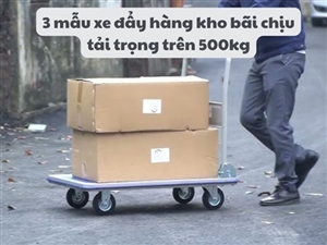 3 mẫu xe đẩy hàng kho bãi chịu tải trọng trên 500kg